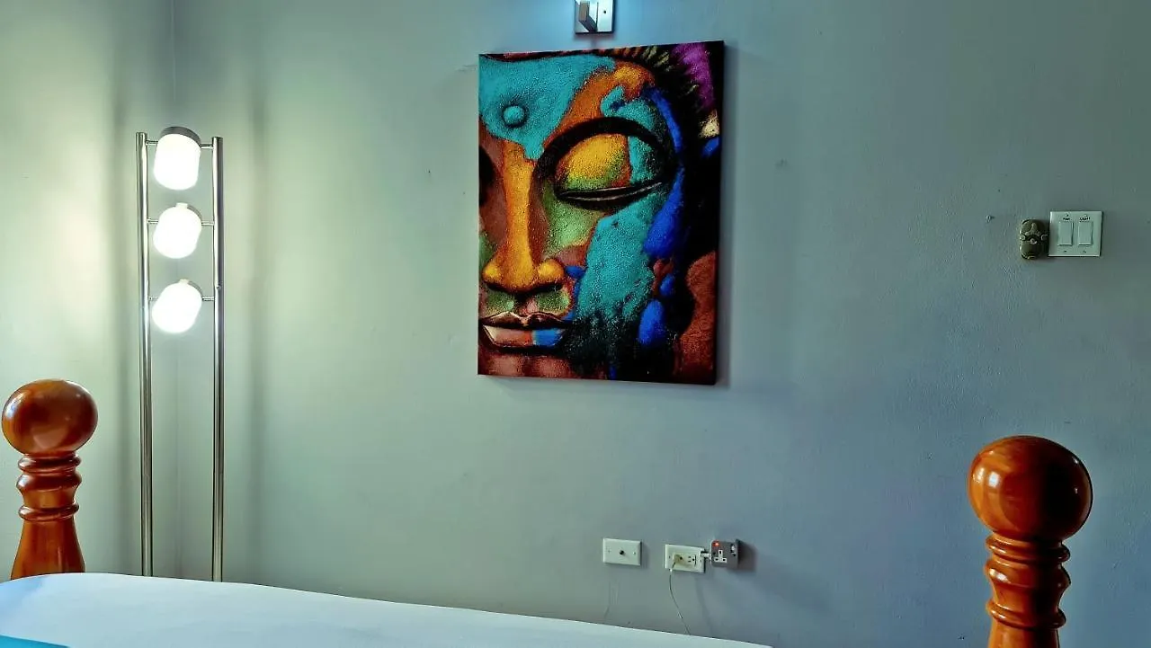 Casa Alexandria Guest Apartment Kingston