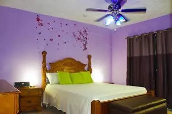 Casa Alexandria Guest Apartment Kingston