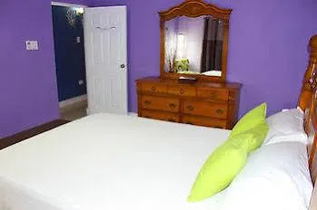 Casa Alexandria Guest Apartment Kingston 0*,
