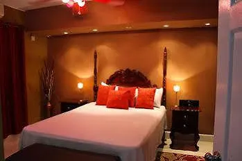 Casa Alexandria Guest Apartment Kingston