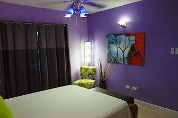 Casa Alexandria Guest Apartment Kingston 0*,  Jamaica