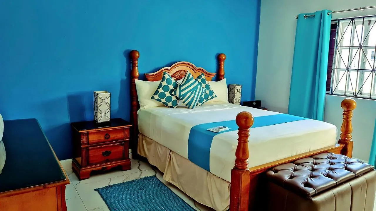 Casa Alexandria Guest Apartment Kingston
