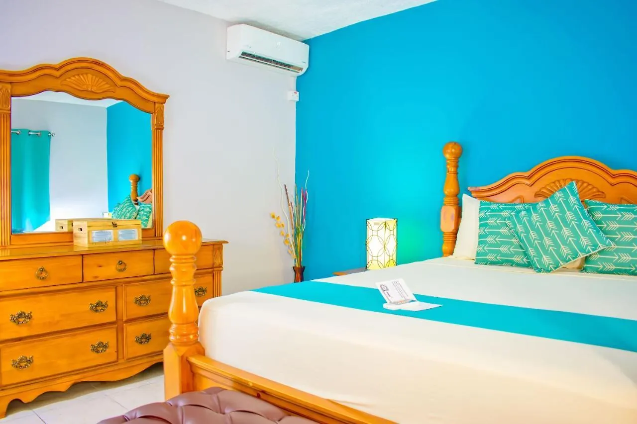 Casa Alexandria Guest Apartment Kingston