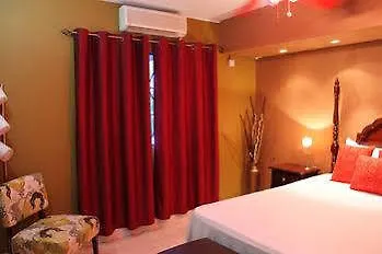 Casa Alexandria Guest Apartment Kingston Jamaica