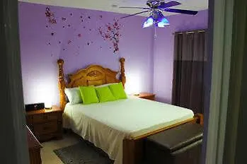 Casa Alexandria Guest Apartment Kingston
