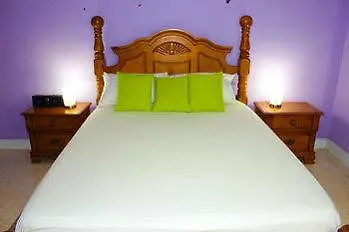 Casa Alexandria Guest Apartment Kingston